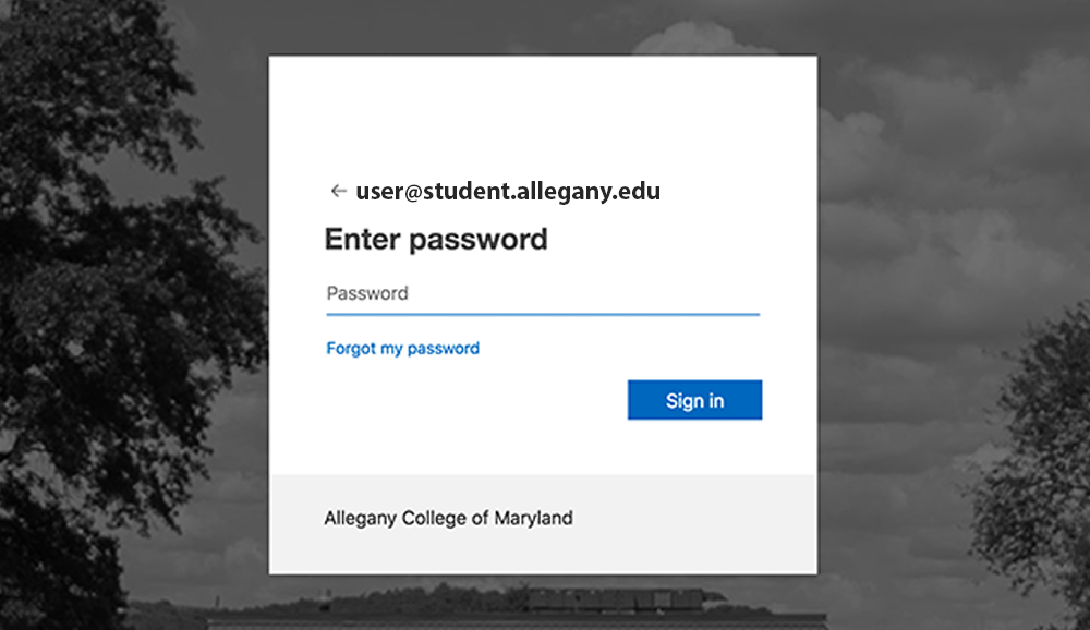 Student Email Access
