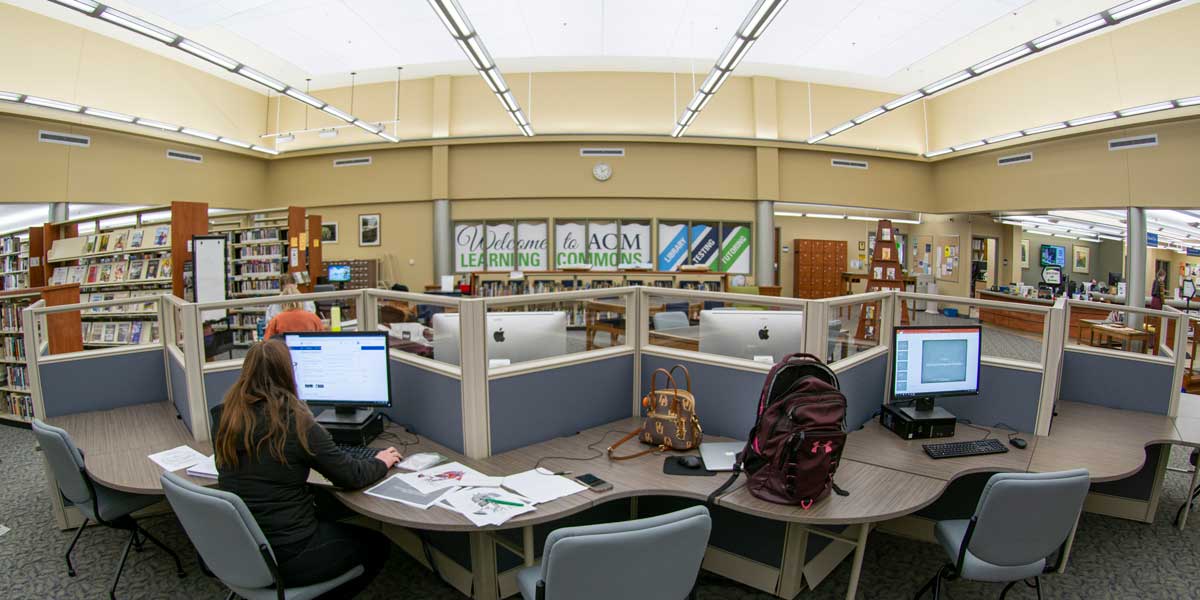 Student in the Learning Commons