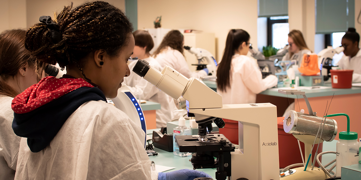 MLT Students Working in Lab