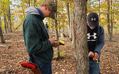 Forestry technology students measuring trees