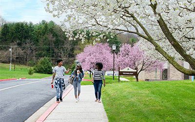 Students walking near Allied Health bldg in spring