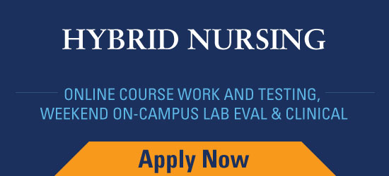 Hybrid Nursing Application